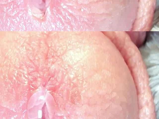 EXTREME CLOSE UP of me MILKING PRECUM and BLOWING A HUGE