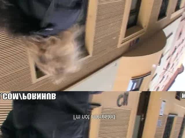 Shy blond Czech hotty accedes to take money for a public suck & fuc
