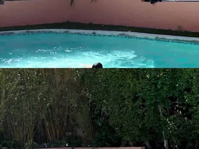 Amira Brie Blows And Makes Him Cum Twice Onlyfans Video
