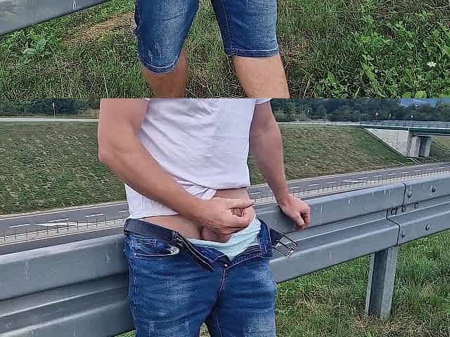 Public fellatio on the highway