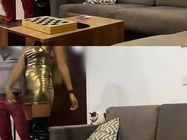 Latina Amateur Blowjob and Facial After a Game of Darts