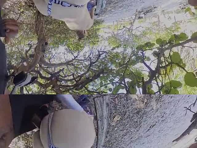 Homo sex by the beach