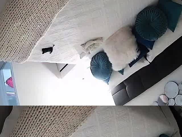 Voyeur amateur hidden cam full sex