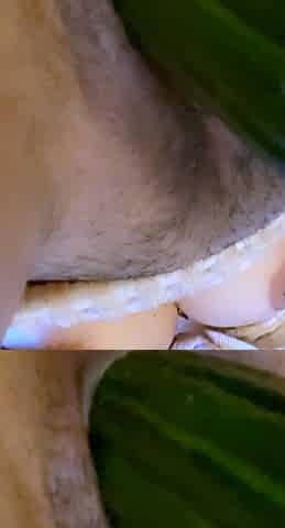 Close up solo beauty toying ass