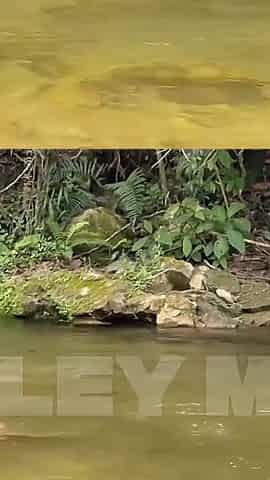 My Wife's Perverted Bestie Want to Fuck Outdoors(full Version)