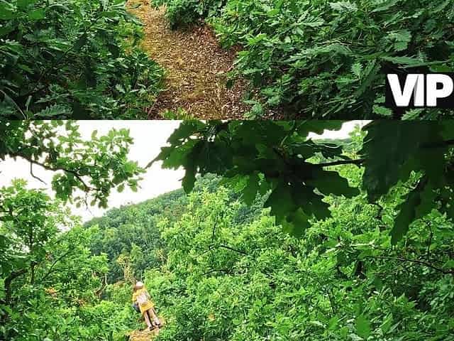 VIP4K. Crazy girl hiker fucks in the forest