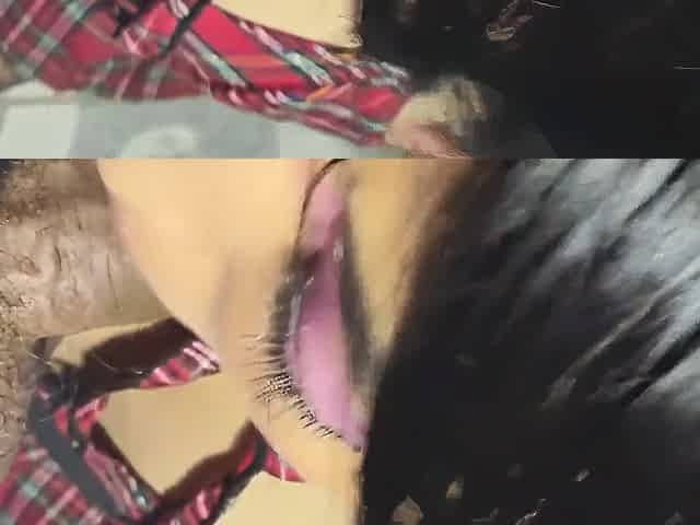 Big Ass Penetrated To