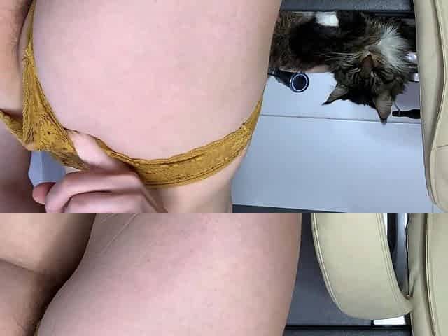 Blonde hoe toys her hairy box and hot ass in sexy solo