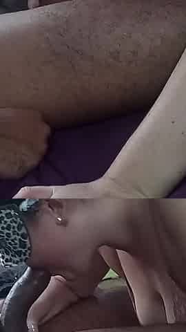 Hot BBC blowjob from wife