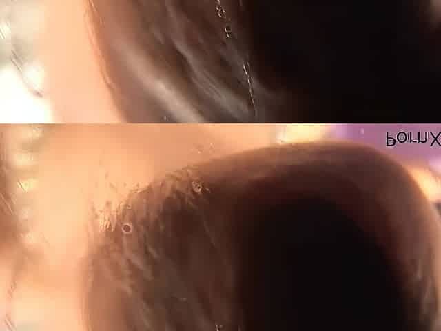 Dildo Sluts - PornXN