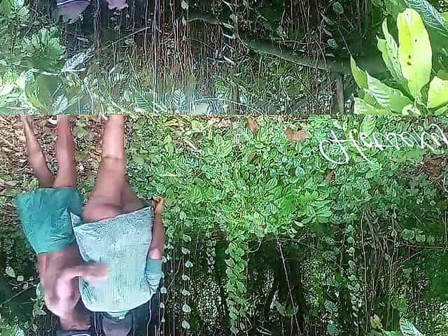 they nearly caught us fucking in the bush