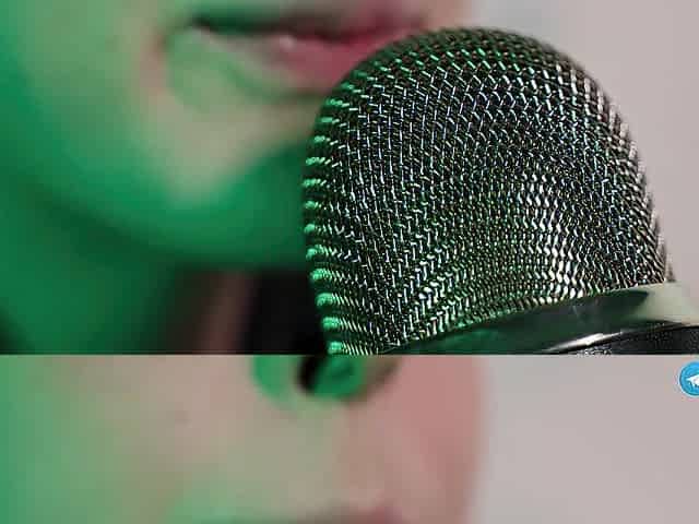 ASMR FOREST ELF - LICKING, THROAT SOUNDS & TINGLES with Elsa (3Dio + Blue Yeti, 4K)