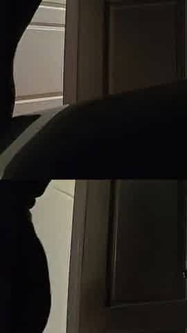 Despairing Pee in the midst of the night