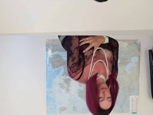 Large Dong, Large Balls, Taut Booty