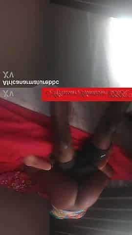 black rides ebony dong