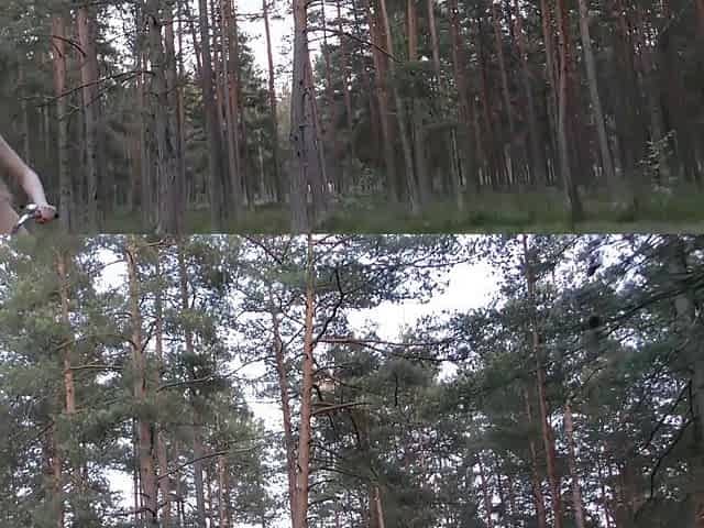 Outdoor Masturbation in a Eastern European Forest