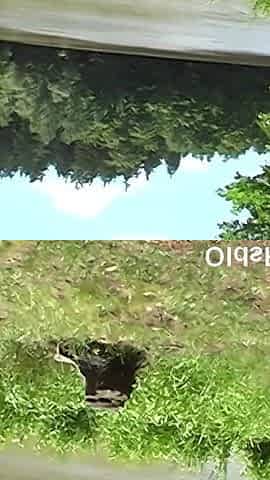Olds fuck dolls - grandpa Mireck fucks 18yo girl Ashley Sweet in the forest