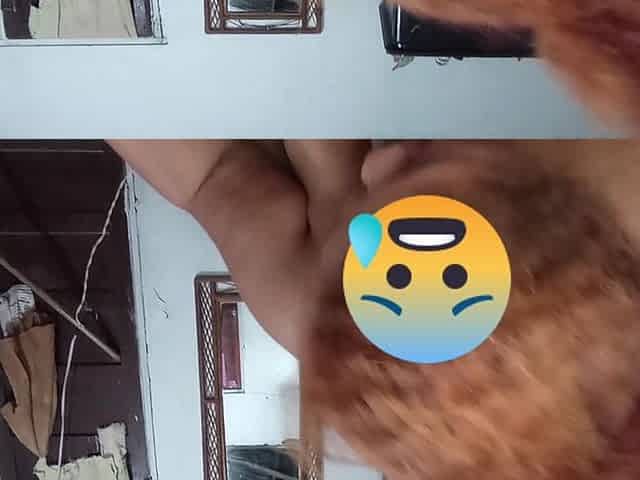 Stepmom Rides Her Huge Ass on This Guy's Dick