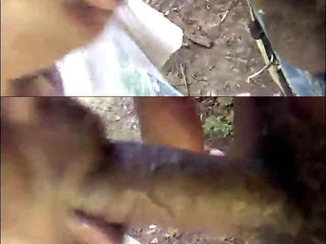 Godilation, Gumjob, Gnawing Ebony Granny vol.two
