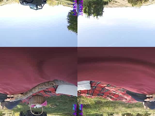 Dirty Picnic - Purityvr - Vr Porn Video