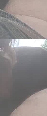 Blowjob by the River