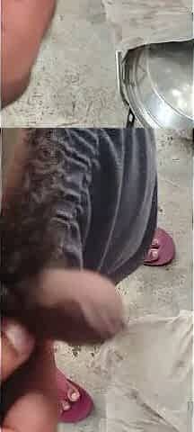 Solo hunk bathing his penis