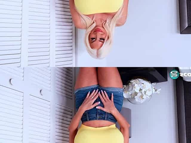 The Busty Dreams of Barbie Nicole