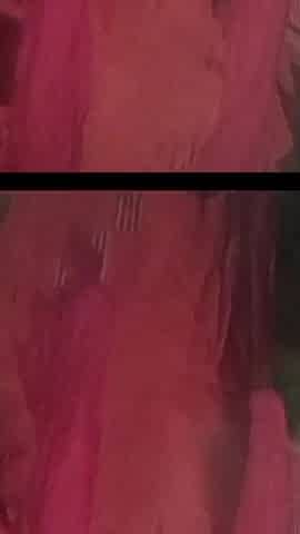 Late Night Deal with Hot Punjabi Lady in 500 - Real Desi Story