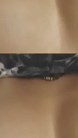 Petite Asian Got Pounded by BBC and Face Painted