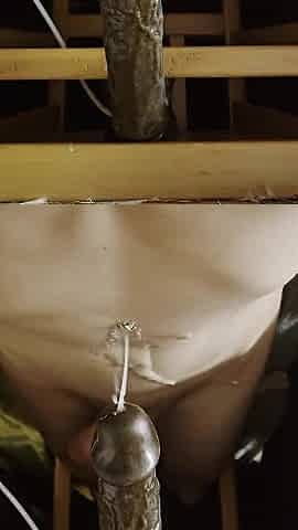 Creampie Dreams