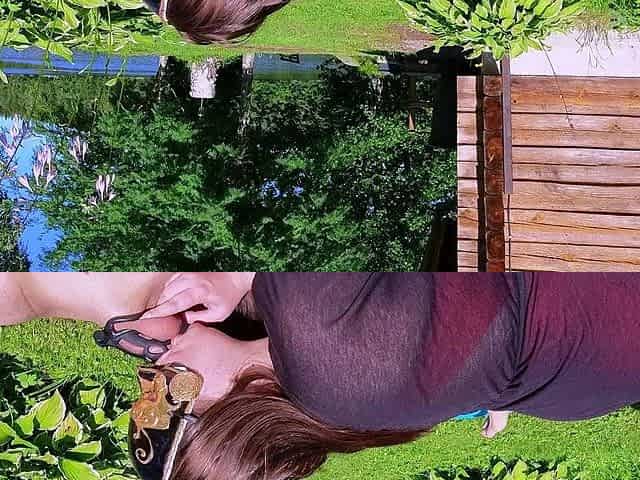 Amateur MILF blowjob cumshot