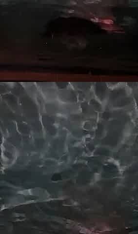 PUBLIC SCENE BURNS WITH HAWT TAUT BUTT AND ROD DRIVE