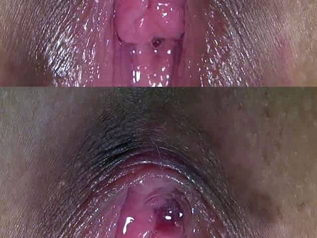 Close up fucking and blowjob in amateur video