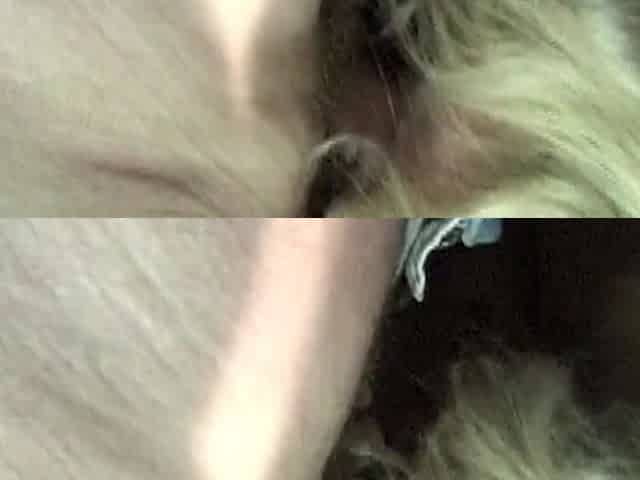 Shameless hairy BBW memorable xxx movie