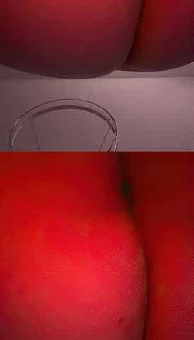 Imagination banging reverse cowgirl (big beautiful woman)