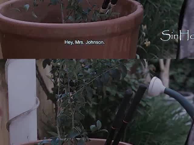 Ebony MILF Turns Into A Busty Bug Monster, Cucks Husband With Neighbor Trembling In His Boots