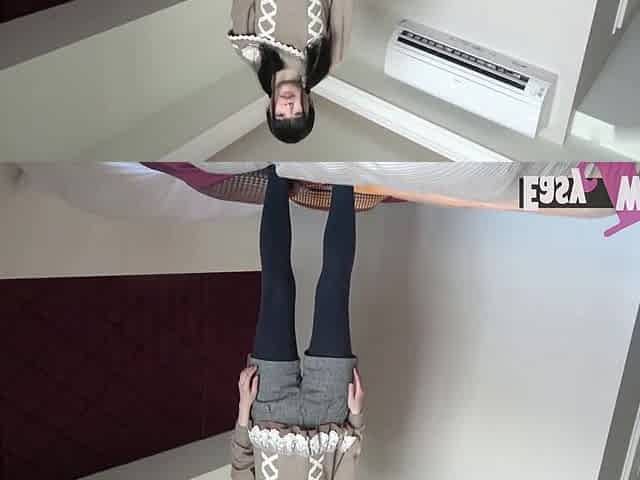 Asian Angel 24781