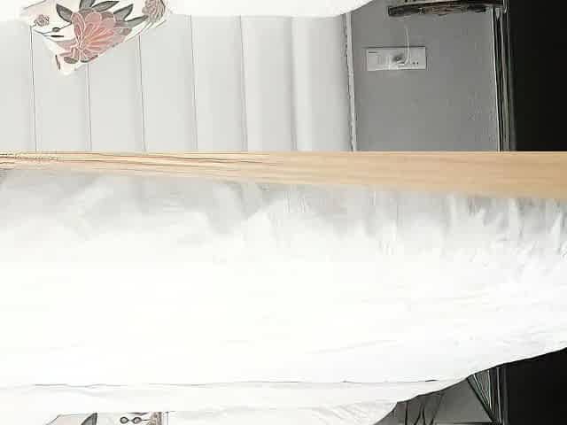 Amateur Couple Filmed Fucking with Hidden Cam