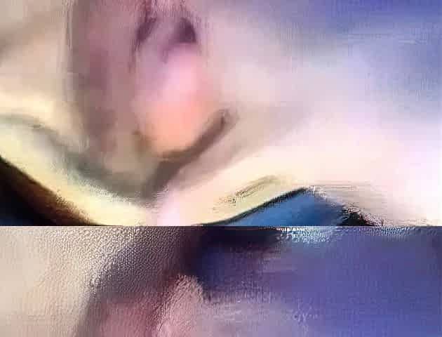 Hairy Arab Vagina - Amateur Webcam Show