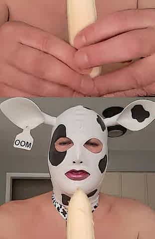 I'm a hungry hungry HUCOW! Will u feed me?