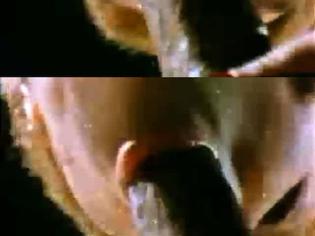 Hardcore Double Penetration and Anal Enough Said