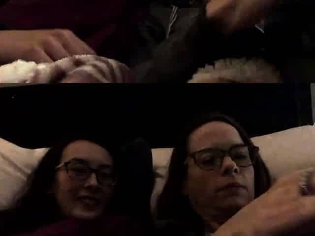 Hot brunette lesbians toys and pussy eating