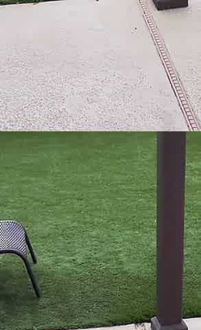 Polyjswitch Hotwife Serves BBC on Her Knees