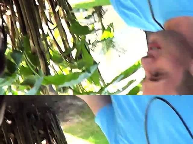 Cock sucking slut Britney