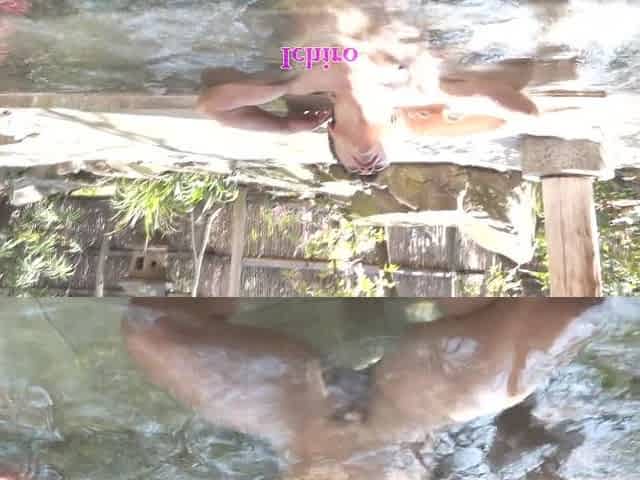 Lika Star Beautiful Goddess Visits Onsen Fuck And Creampie