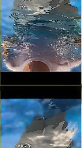 Wifey moist shirt in the pool with ideal braless boobs