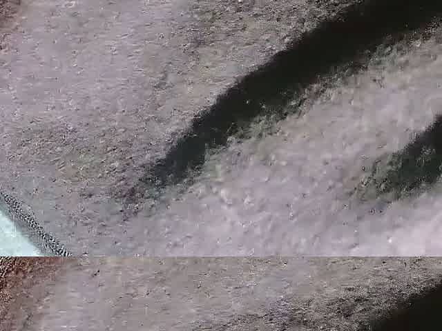 Pulled amateurs close up car sex