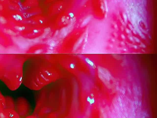 I love this moist, delicate gap for sex.