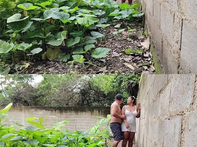 We nearly got caught banging a Mexican neighbour outdoors