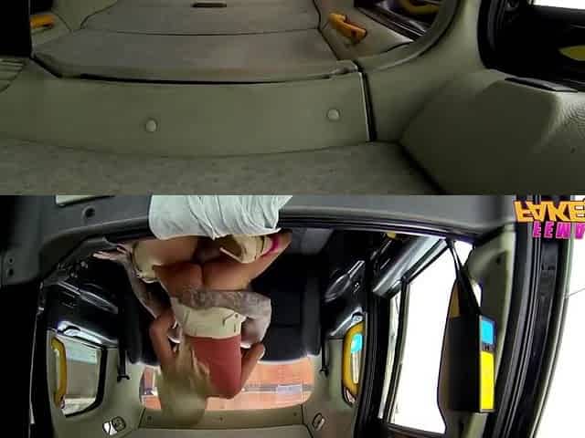 Insatiable Miss - Long Legs Smut